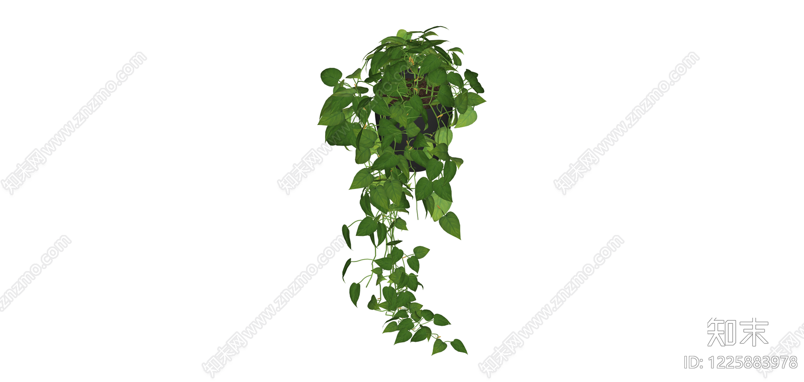 带盆垂吊绿植SU模型下载【ID:1225883978】