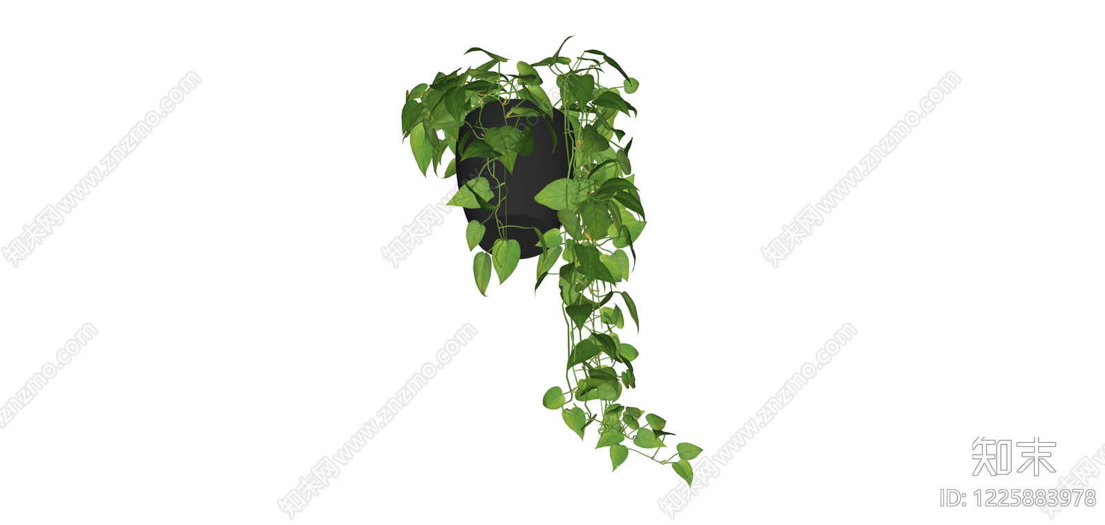 带盆垂吊绿植SU模型下载【ID:1225883978】