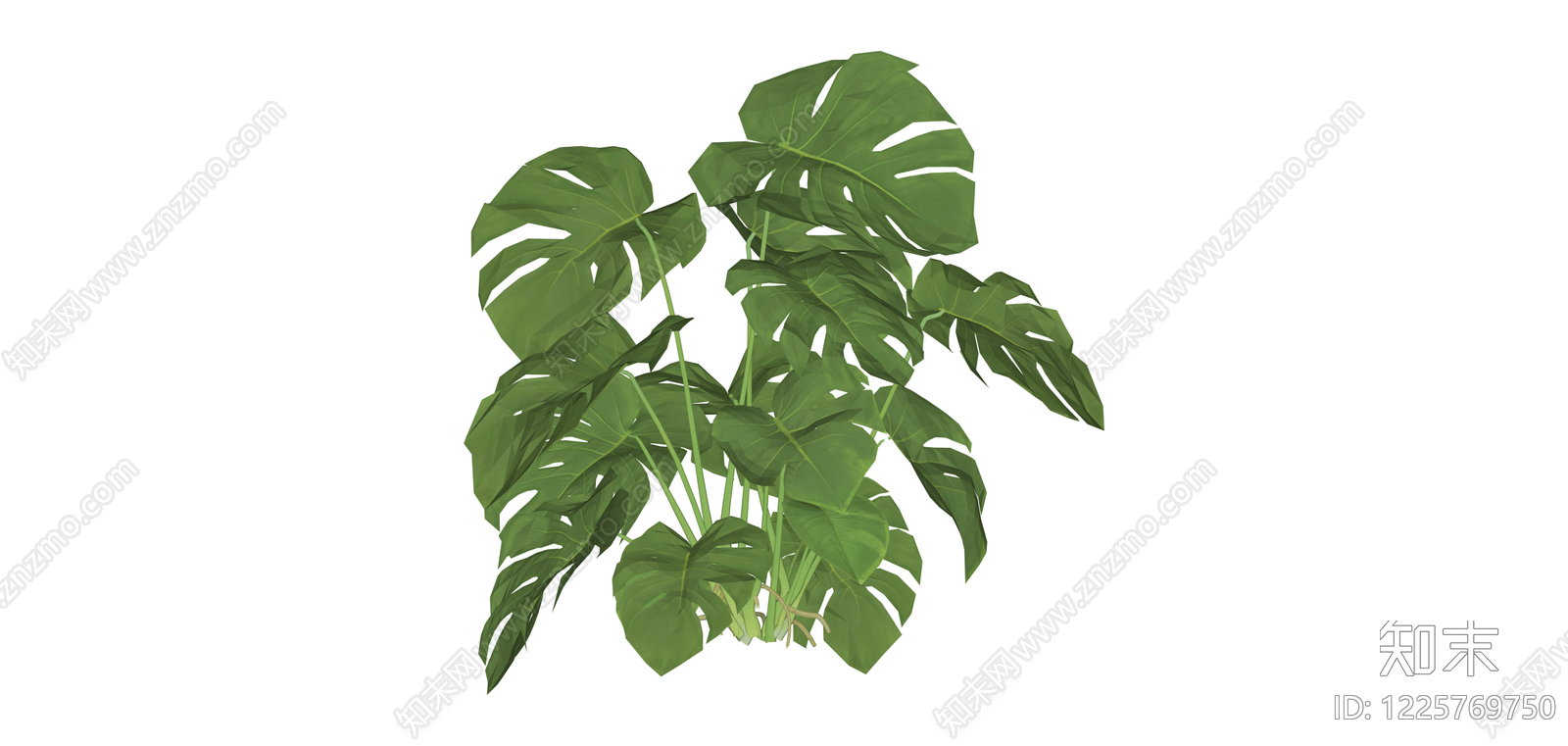龟背竹盆栽绿植SU模型下载【ID:1225769750】