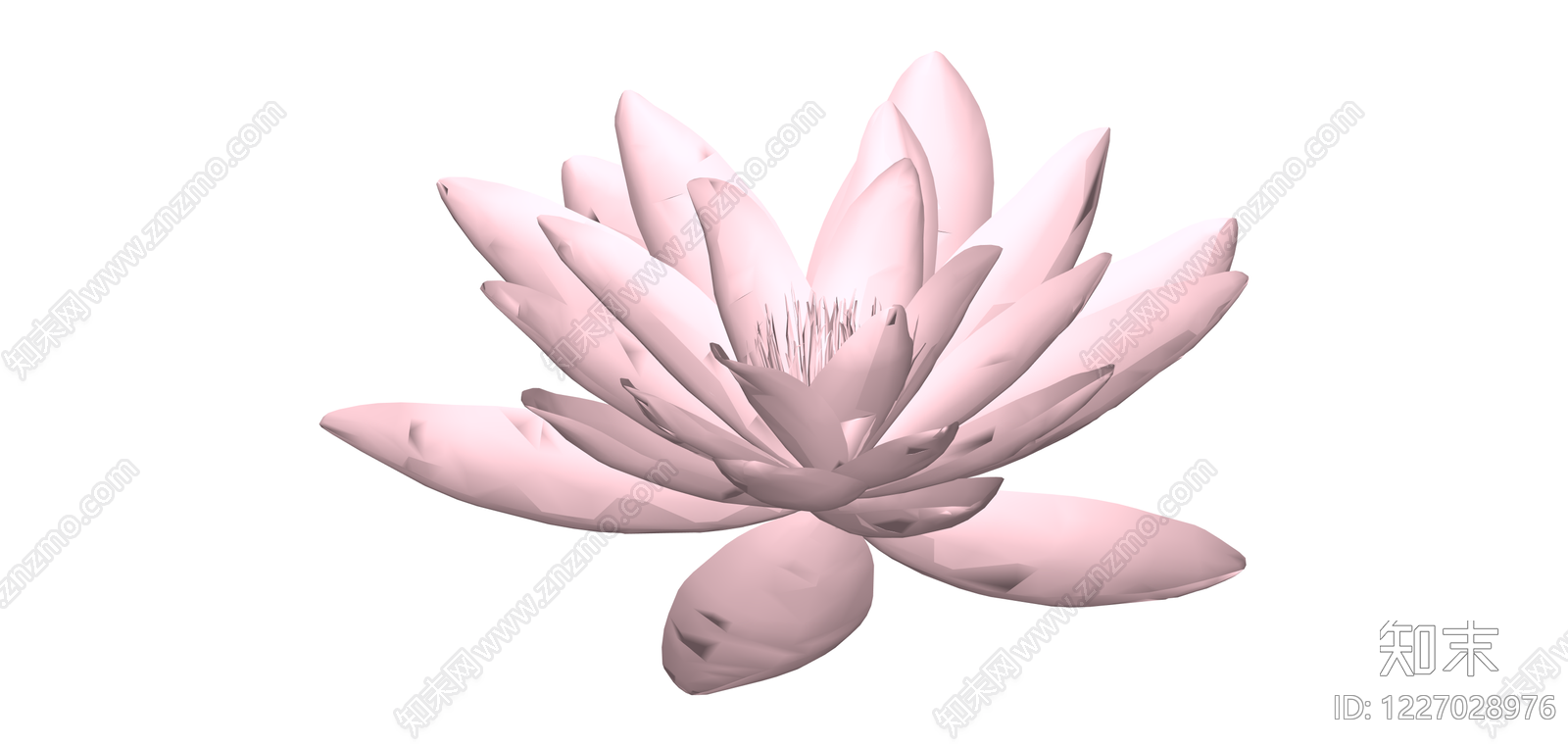 粉色睡莲植物模型SU模型下载【ID:1227028976】