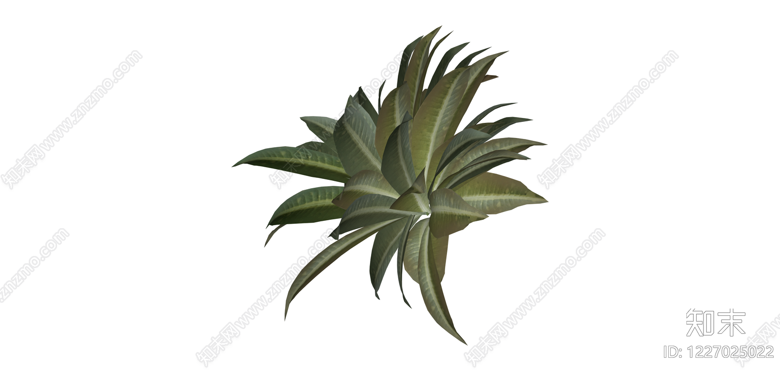 叶脉纹理绿植模型SU模型下载【ID:1227025022】
