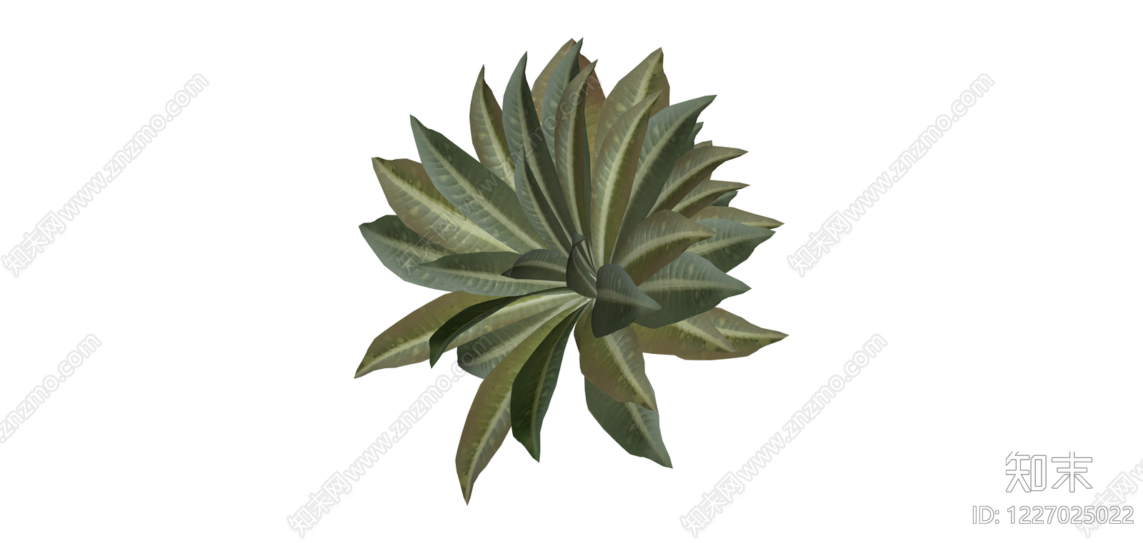 叶脉纹理绿植模型SU模型下载【ID:1227025022】