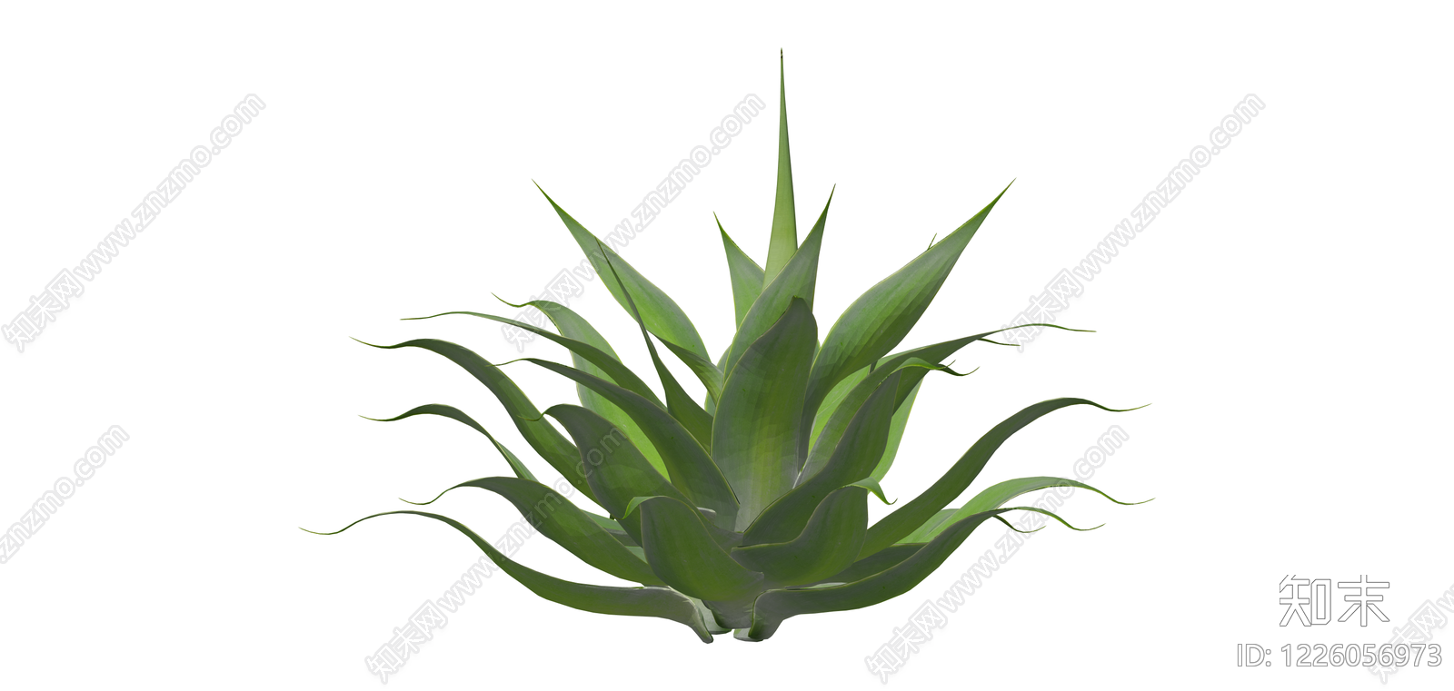 绿色龙舌兰植物SU模型下载【ID:1226056973】