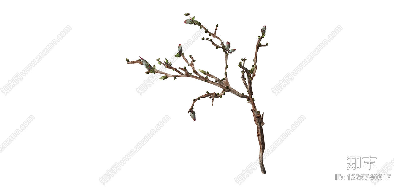 枯枝发芽植物模型SU模型下载【ID:1226740617】