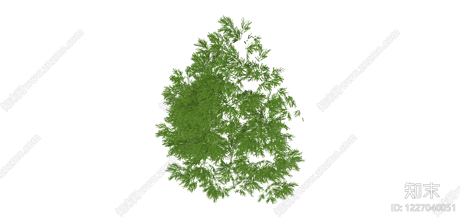 独立绿色灌木植物SU模型下载【ID:1227040051】