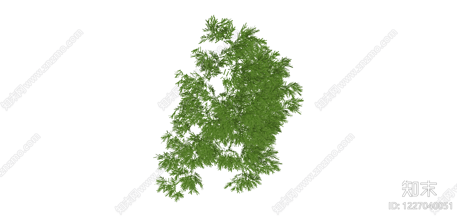 独立绿色灌木植物SU模型下载【ID:1227040051】