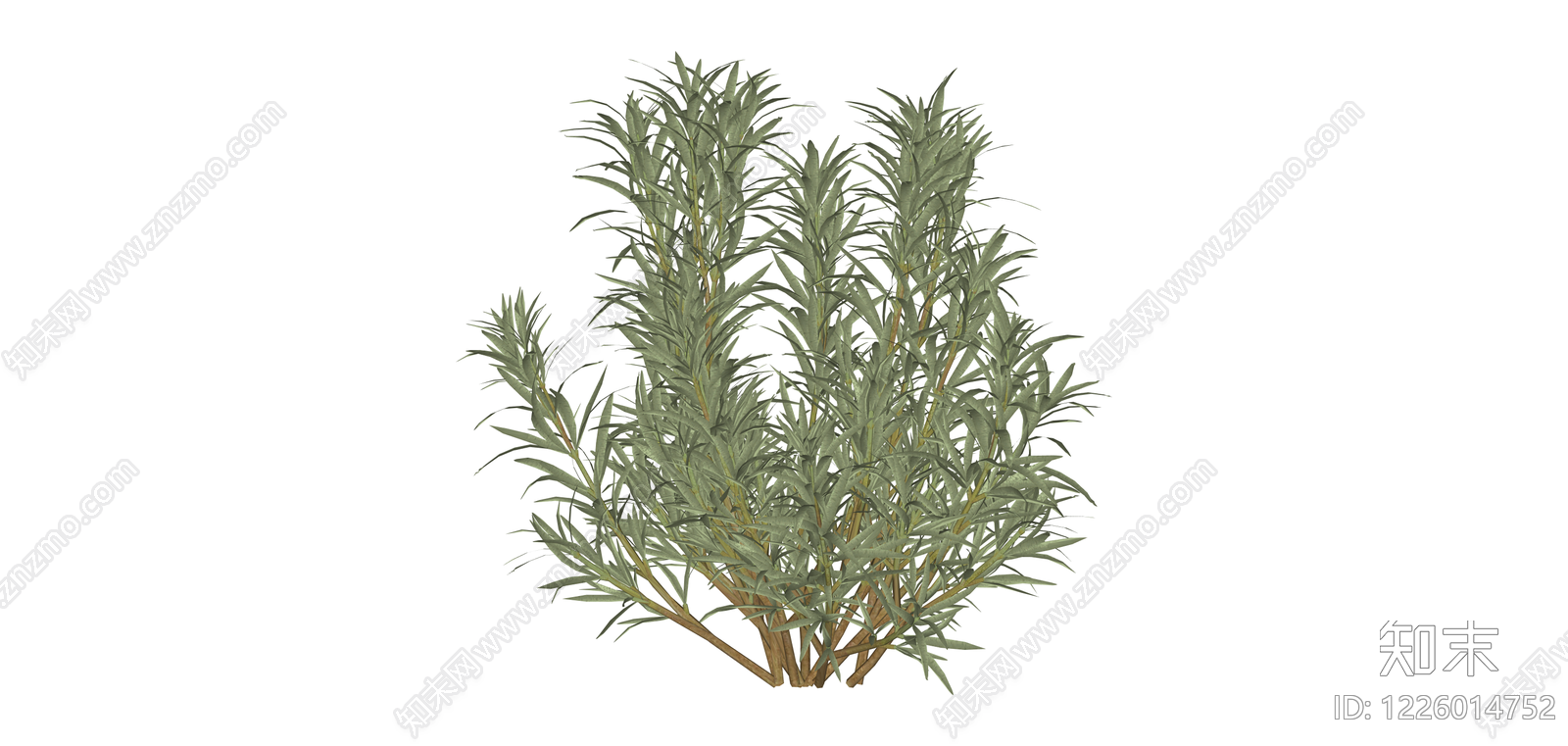 丛生观赏灌木SU模型下载【ID:1226014752】