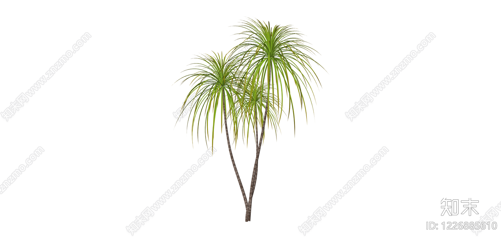 多干丛生绿植模型SU模型下载【ID:1226885610】