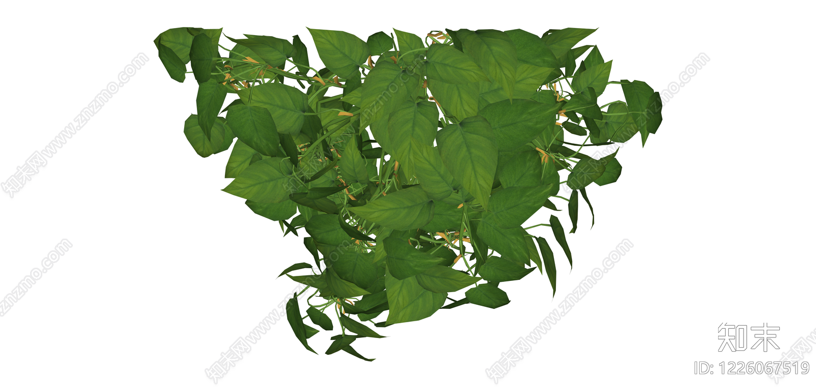 绿色垂吊藤蔓植物SU模型下载【ID:1226067519】