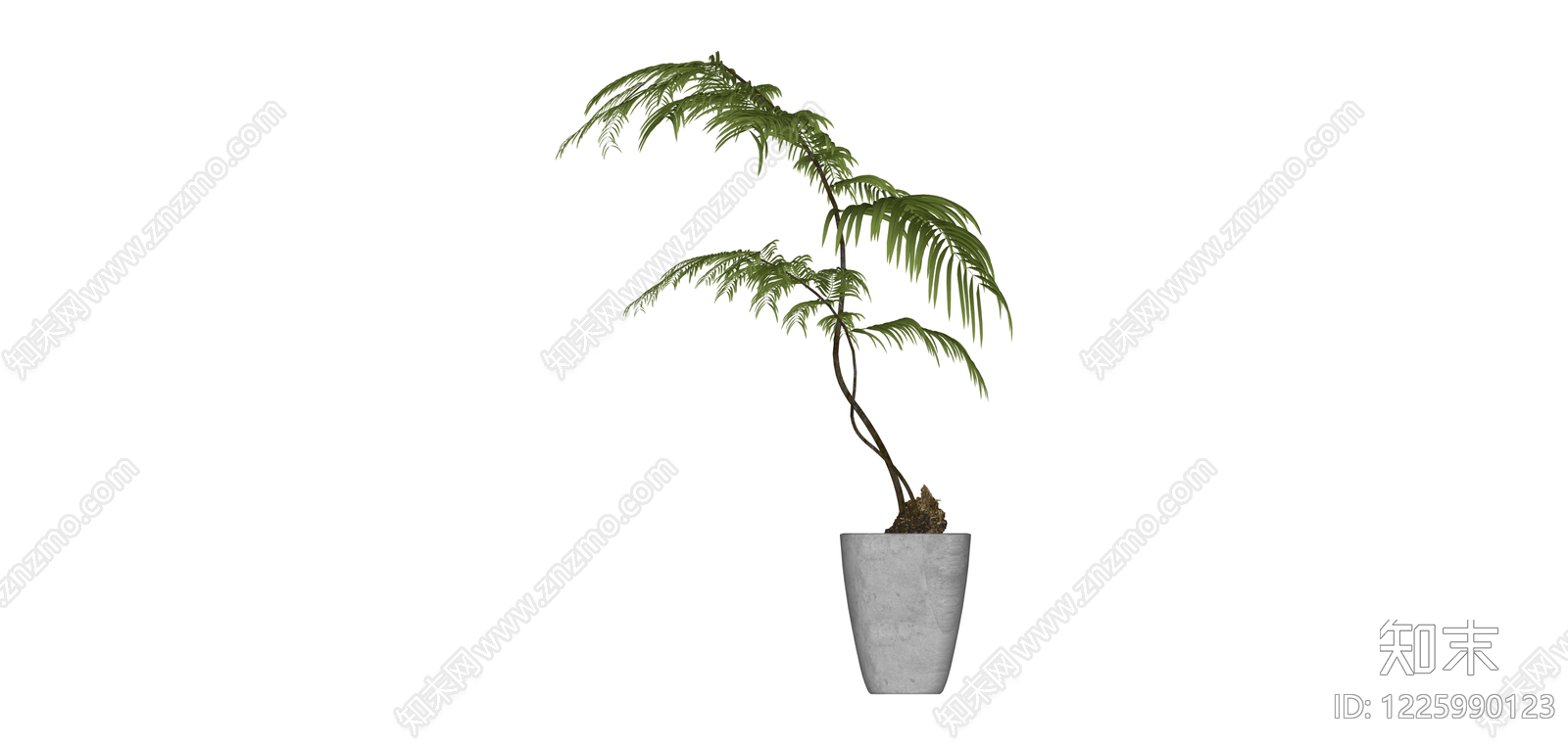 带盆蕨类盆栽植物SU模型下载【ID:1225990123】