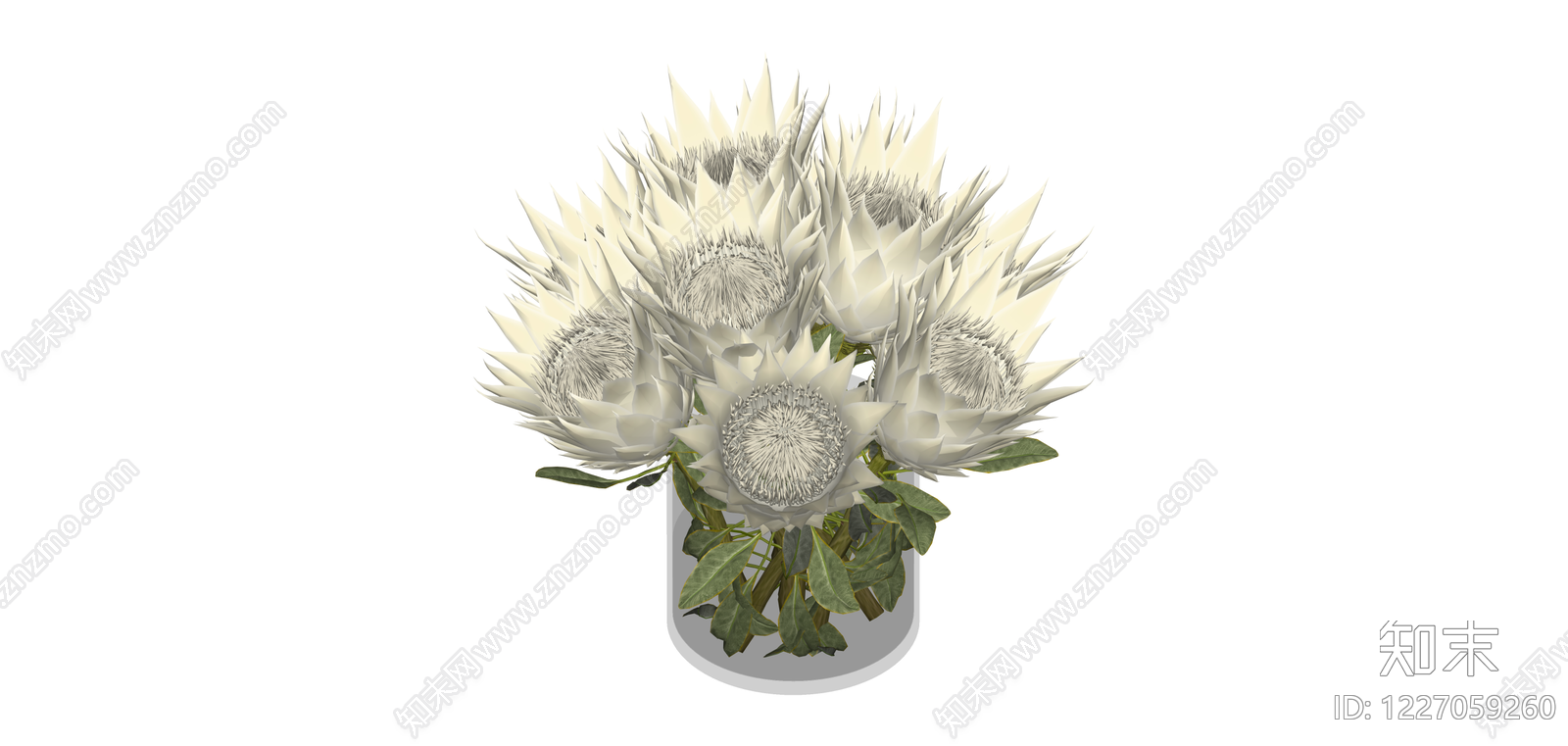 白色帝王花盆栽组合SU模型下载【ID:1227059260】