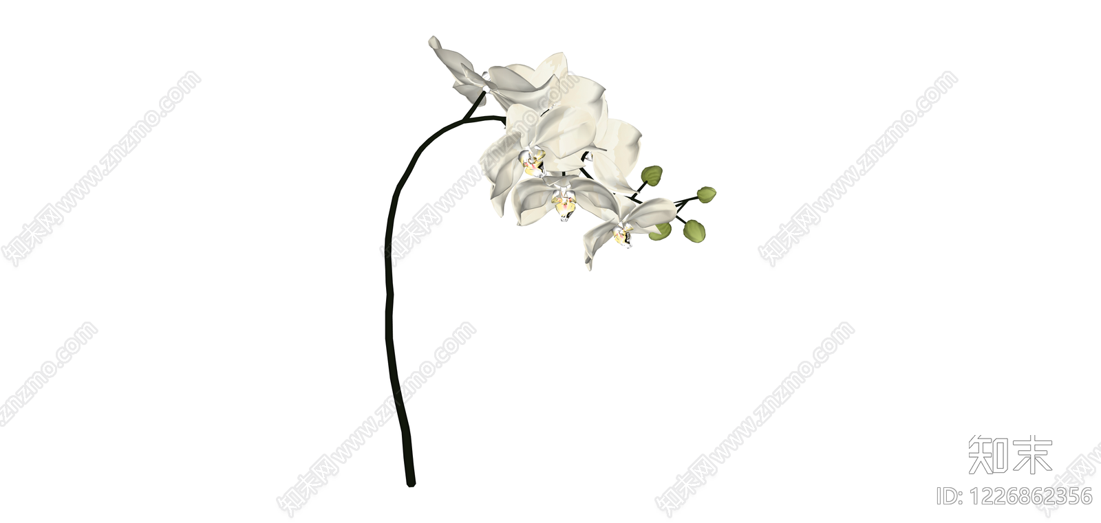 白色蝴蝶兰仿真花艺SU模型下载【ID:1226862356】