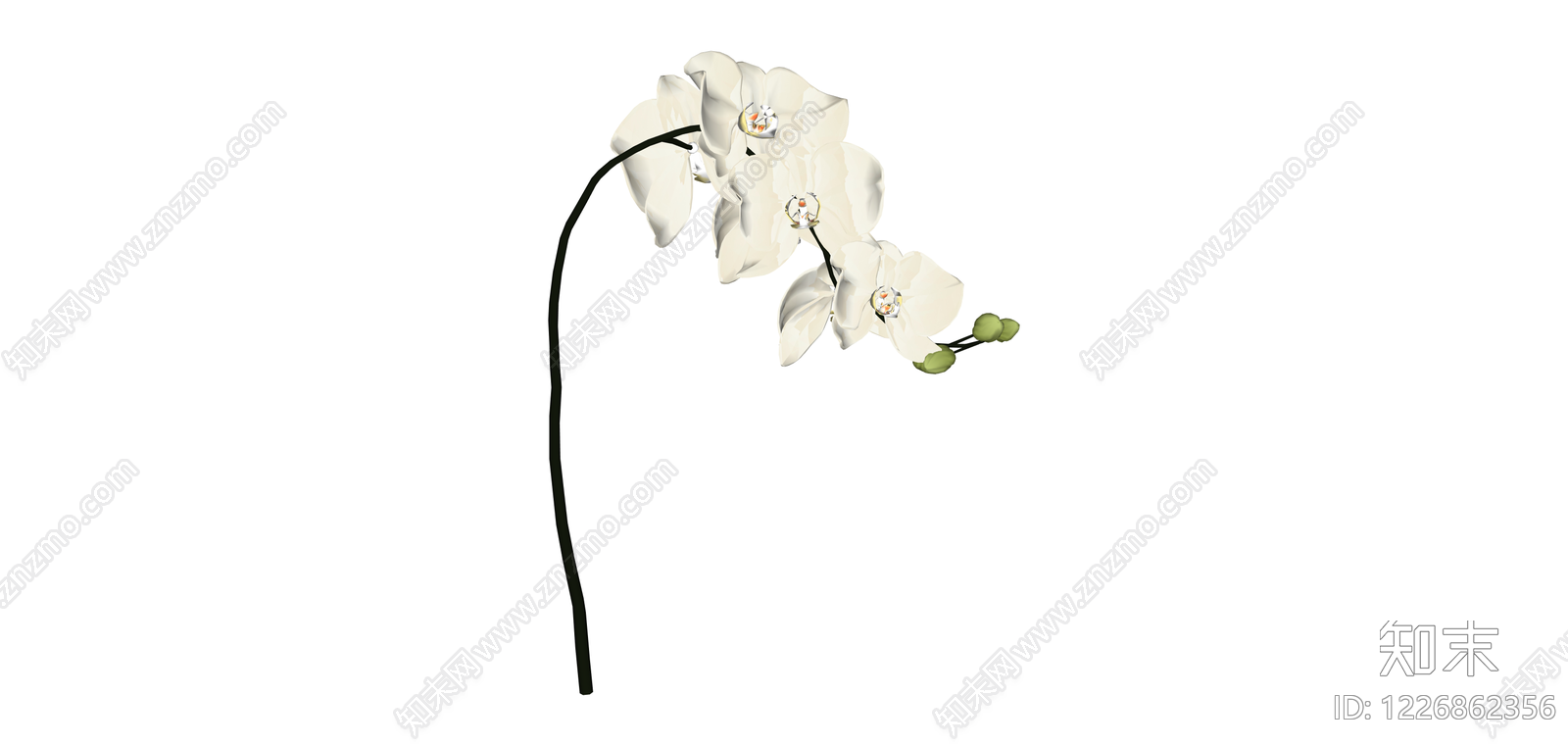 白色蝴蝶兰仿真花艺SU模型下载【ID:1226862356】