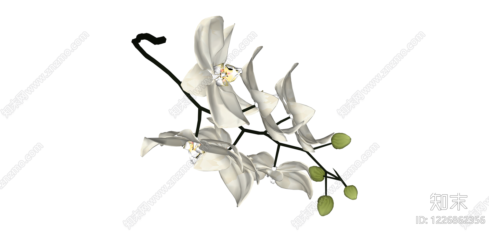 白色蝴蝶兰仿真花艺SU模型下载【ID:1226862356】
