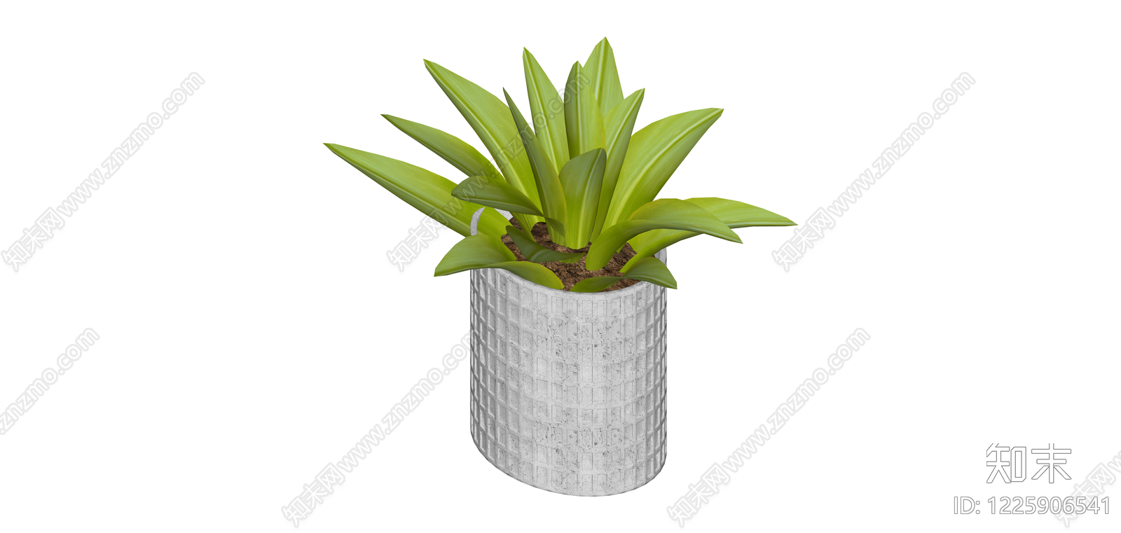 水泥纹理盆栽绿植SU模型下载【ID:1225906541】
