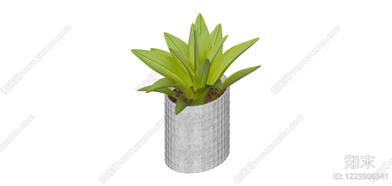 水泥纹理盆栽绿植SU模型下载【ID:1225906541】