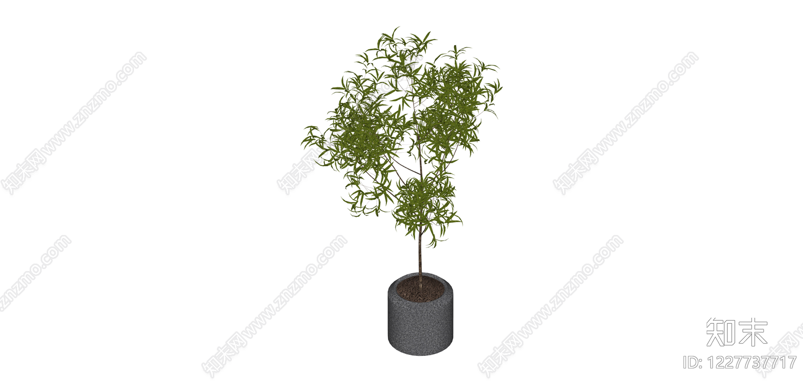 盆栽绿植SU模型下载【ID:1227737717】