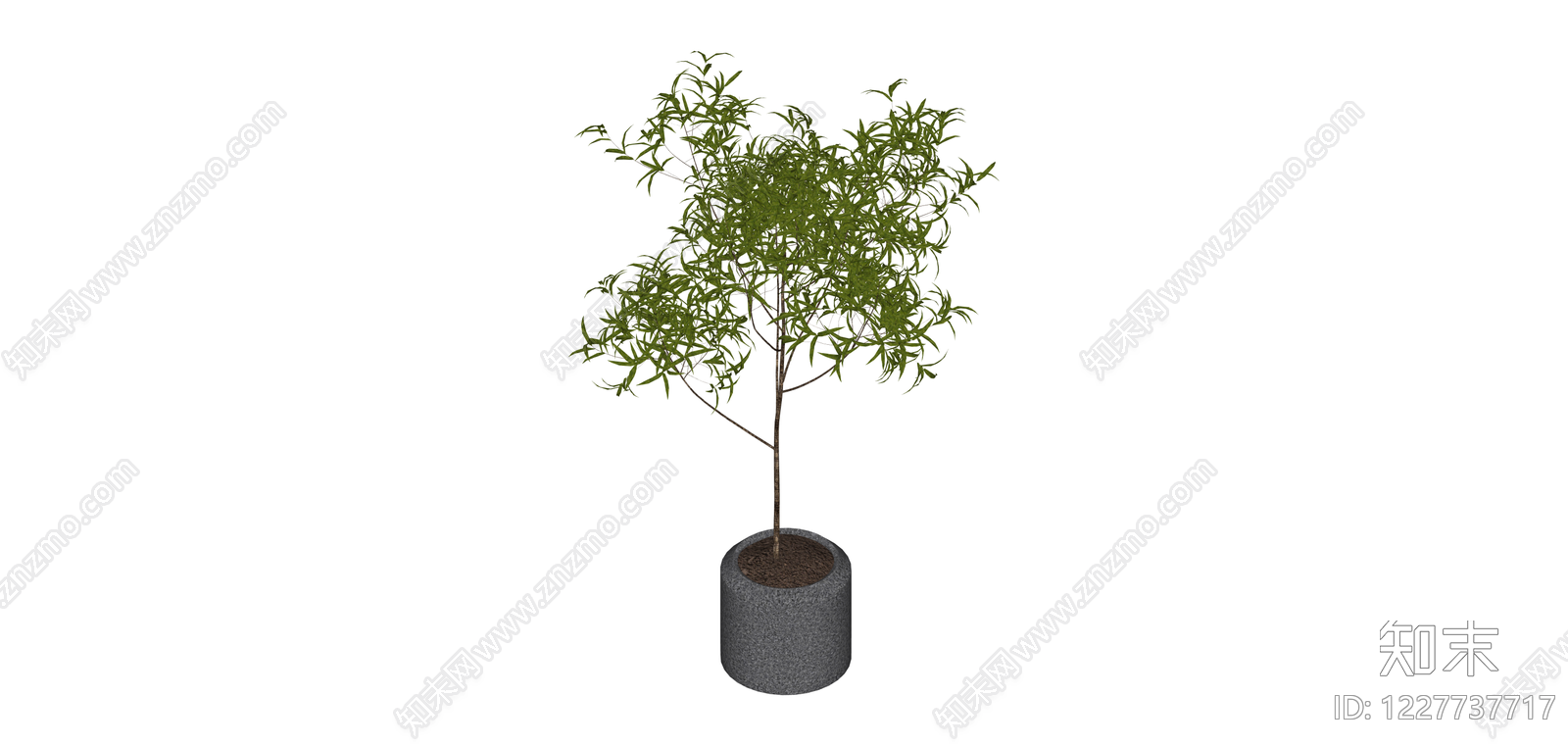 盆栽绿植SU模型下载【ID:1227737717】