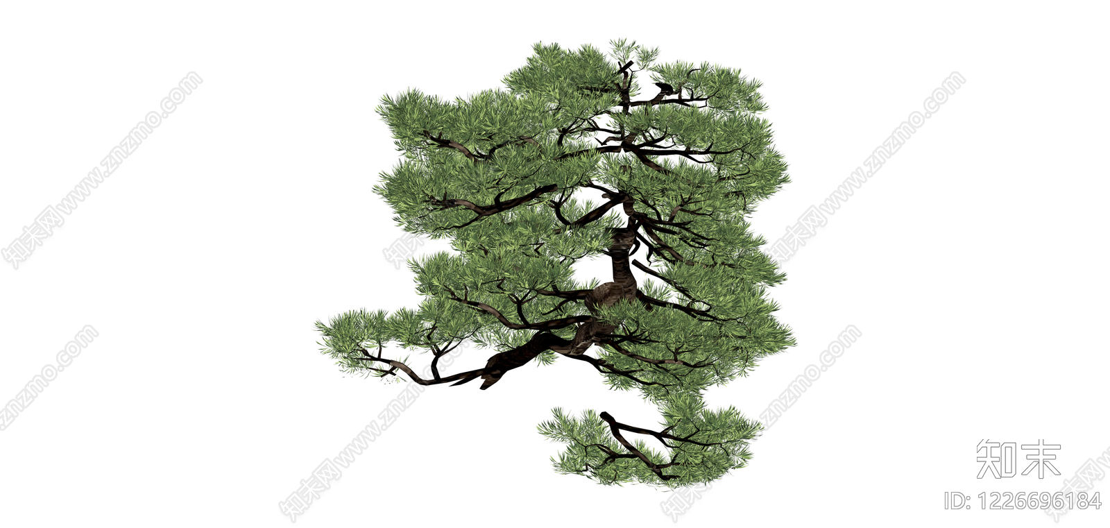 造型景观松树模型SU模型下载【ID:1226696184】