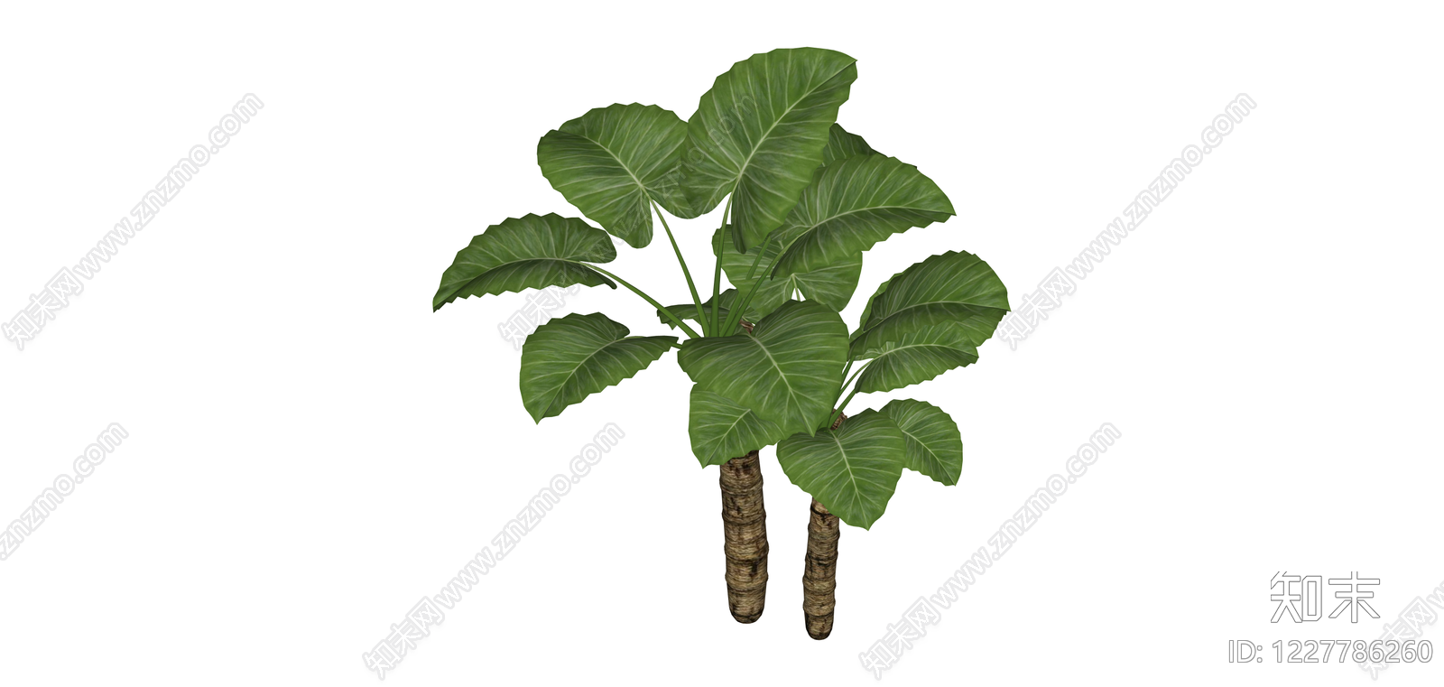 双杆大型绿植SU模型下载【ID:1227786260】