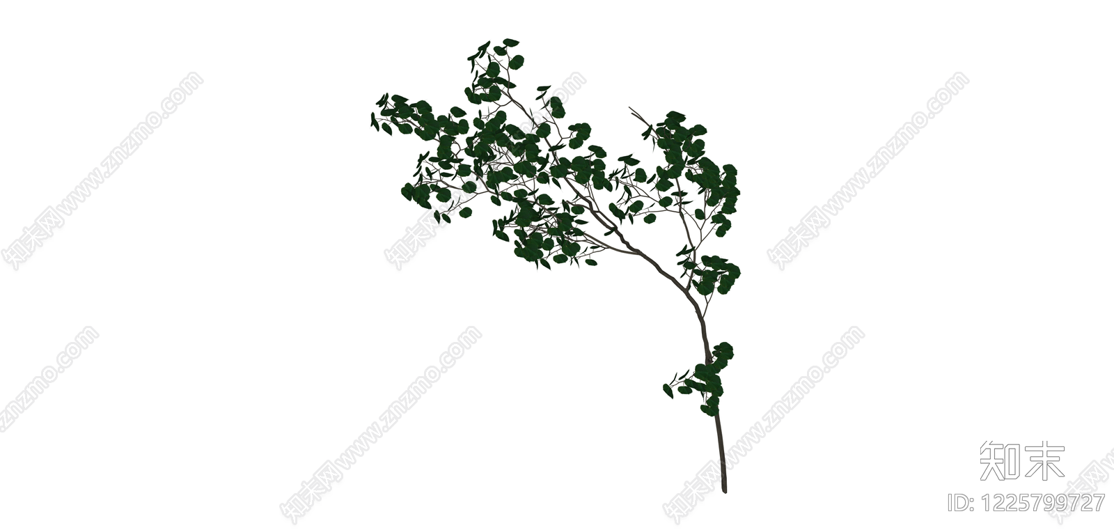 独立景观树木模型SU模型下载【ID:1225799727】