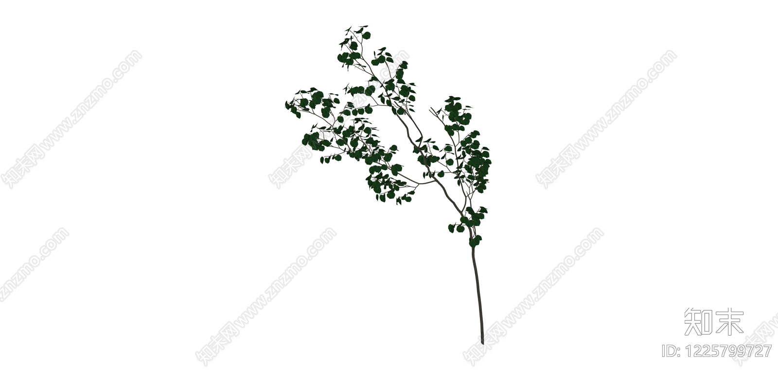 独立景观树木模型SU模型下载【ID:1225799727】