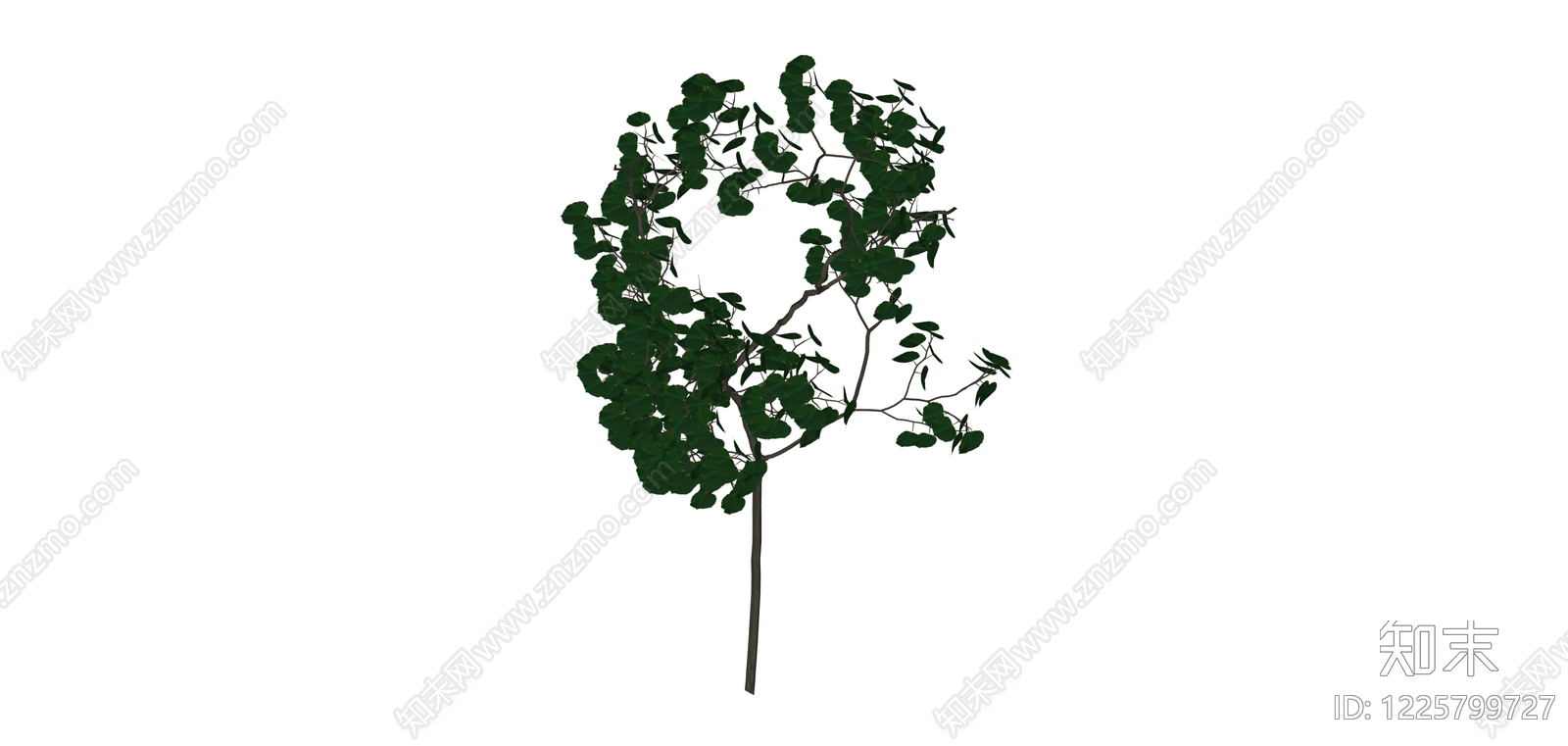 独立景观树木模型SU模型下载【ID:1225799727】