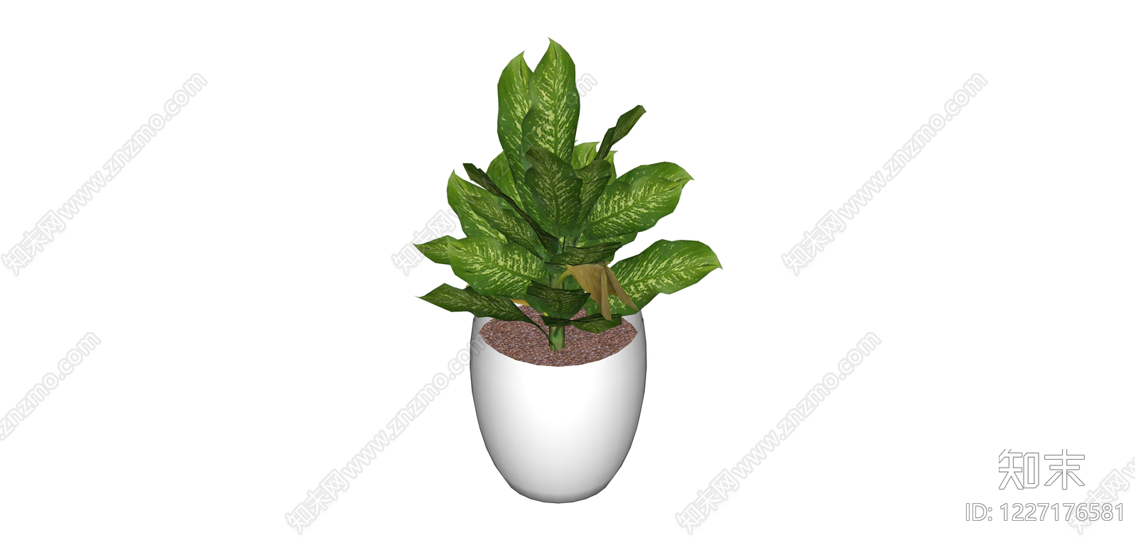 白盆绿植盆栽SU模型下载【ID:1227176581】