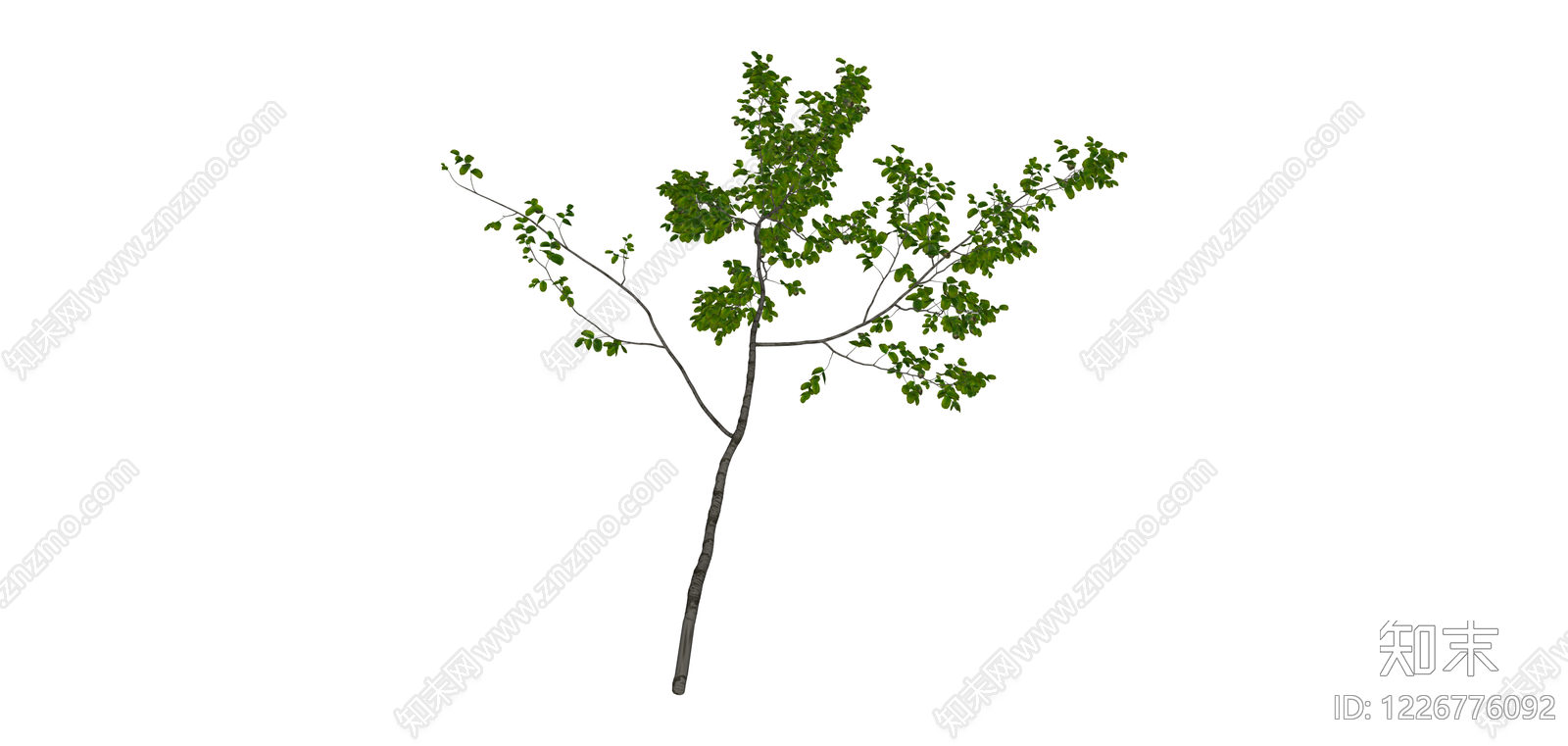 独立绿叶乔木SU模型下载【ID:1226776092】