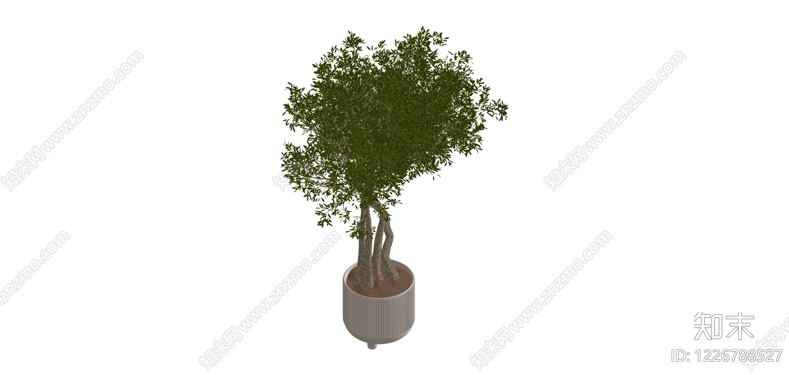 盆栽绿植景观树SU模型下载【ID:1226788527】