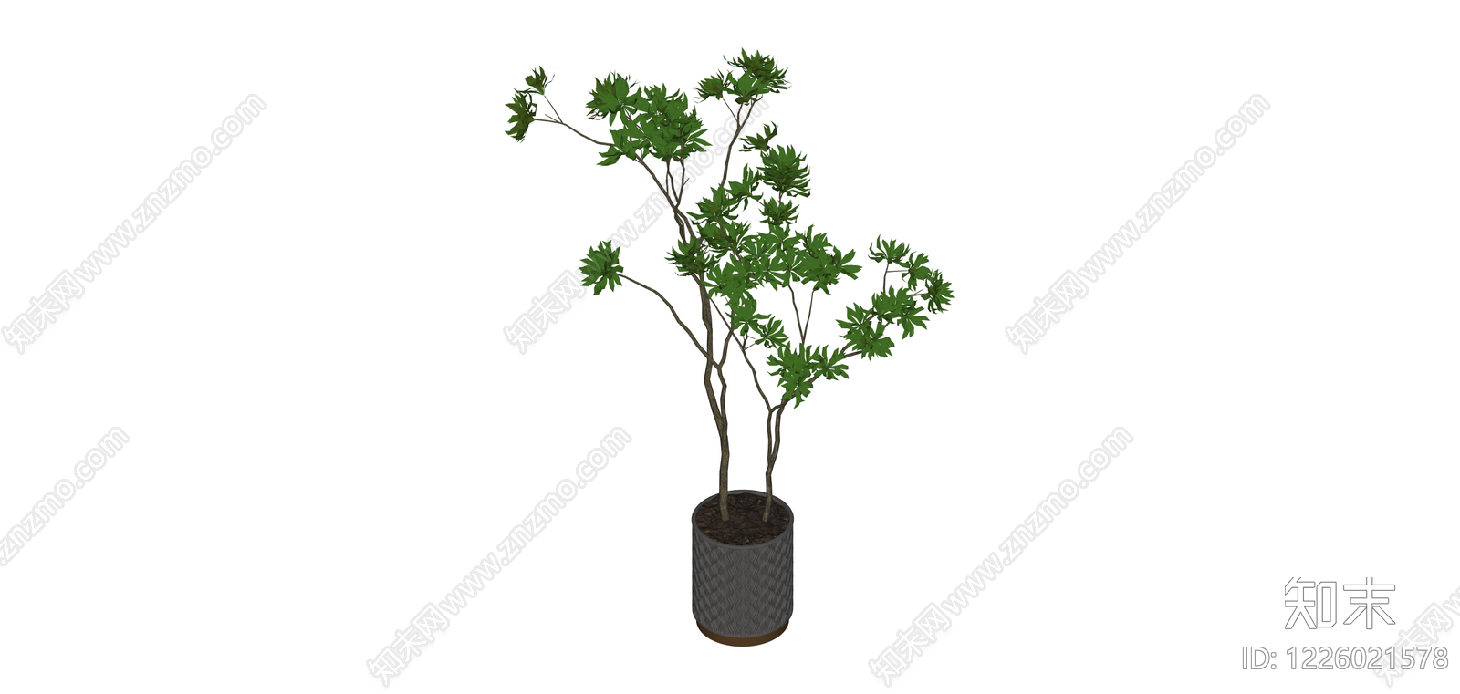盆栽绿植SU模型下载【ID:1226021578】