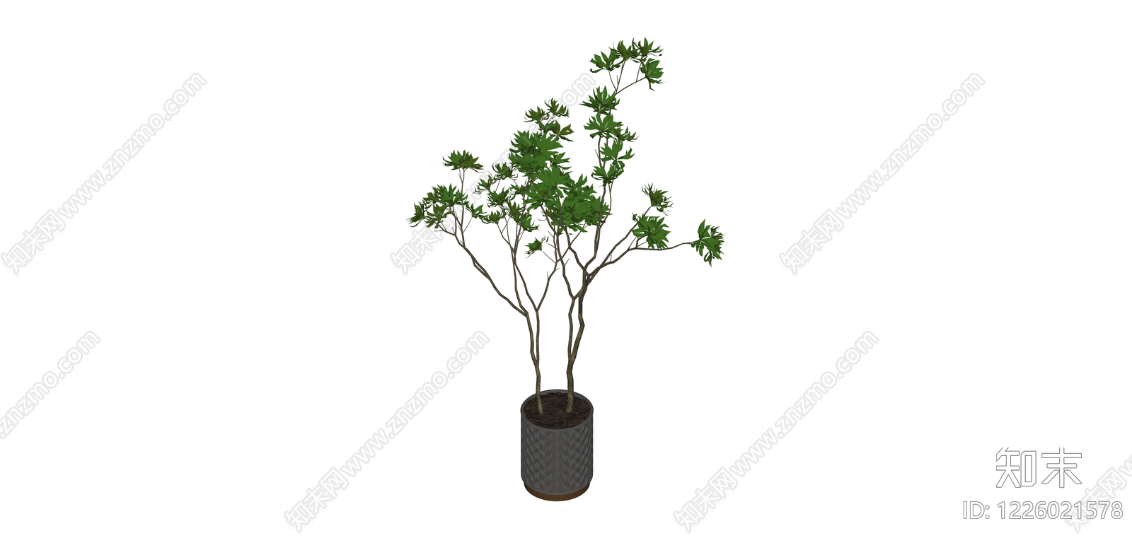 盆栽绿植SU模型下载【ID:1226021578】