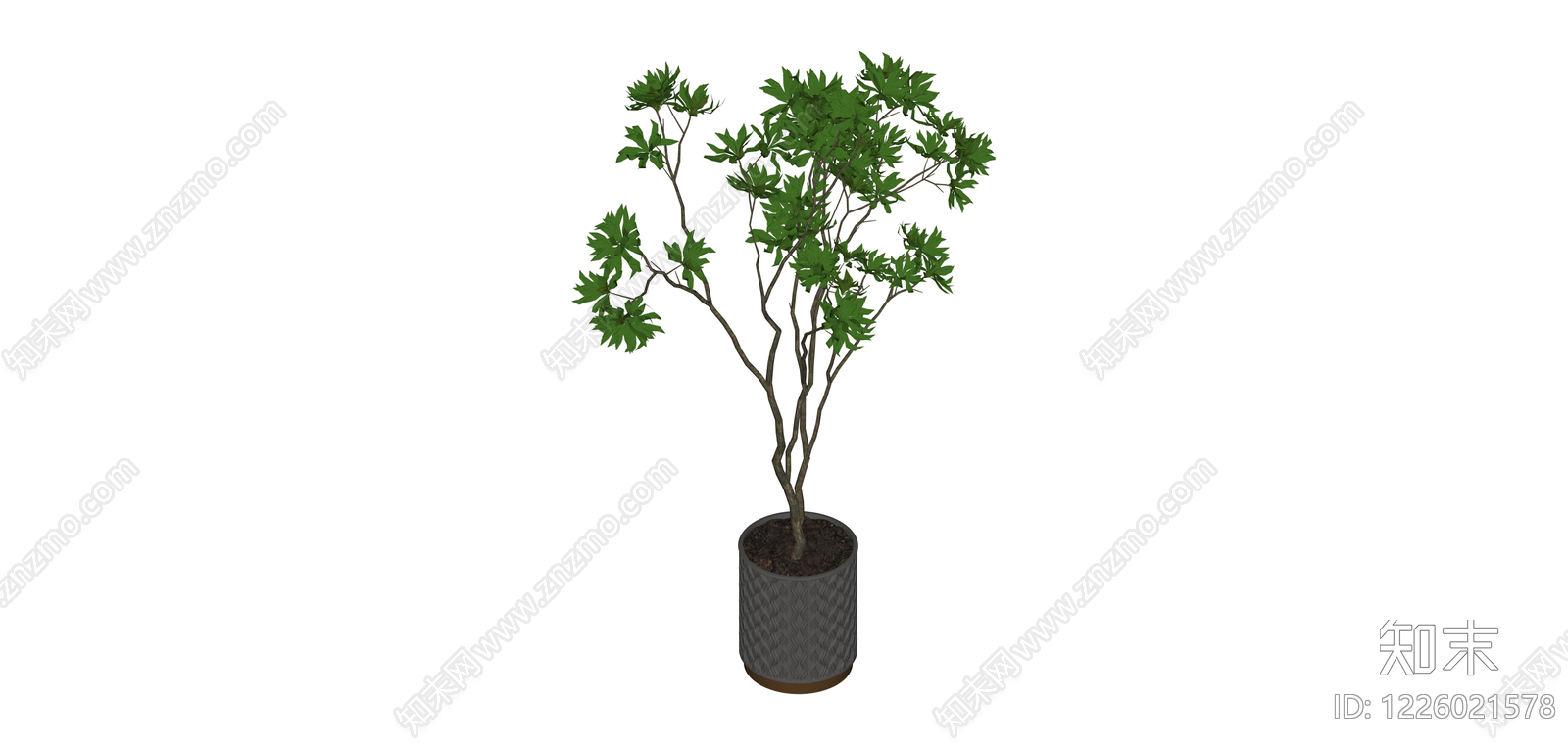 盆栽绿植SU模型下载【ID:1226021578】