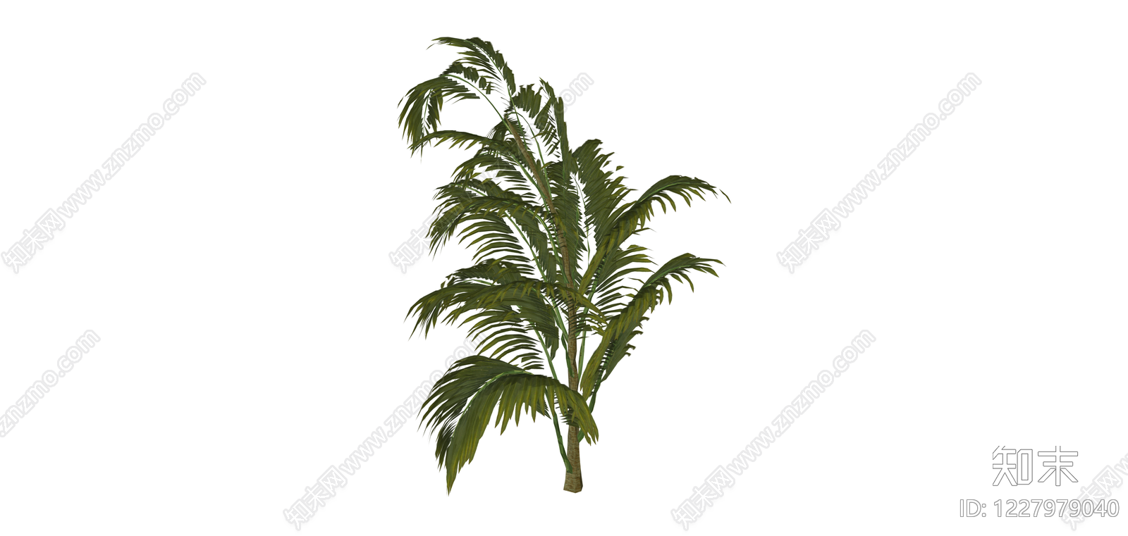 仿真散尾葵绿植SU模型下载【ID:1227979040】
