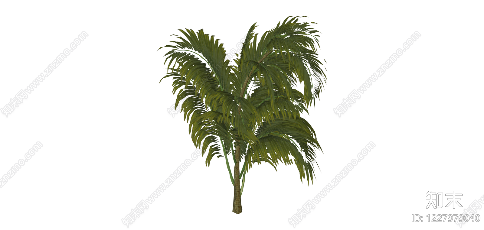 仿真散尾葵绿植SU模型下载【ID:1227979040】