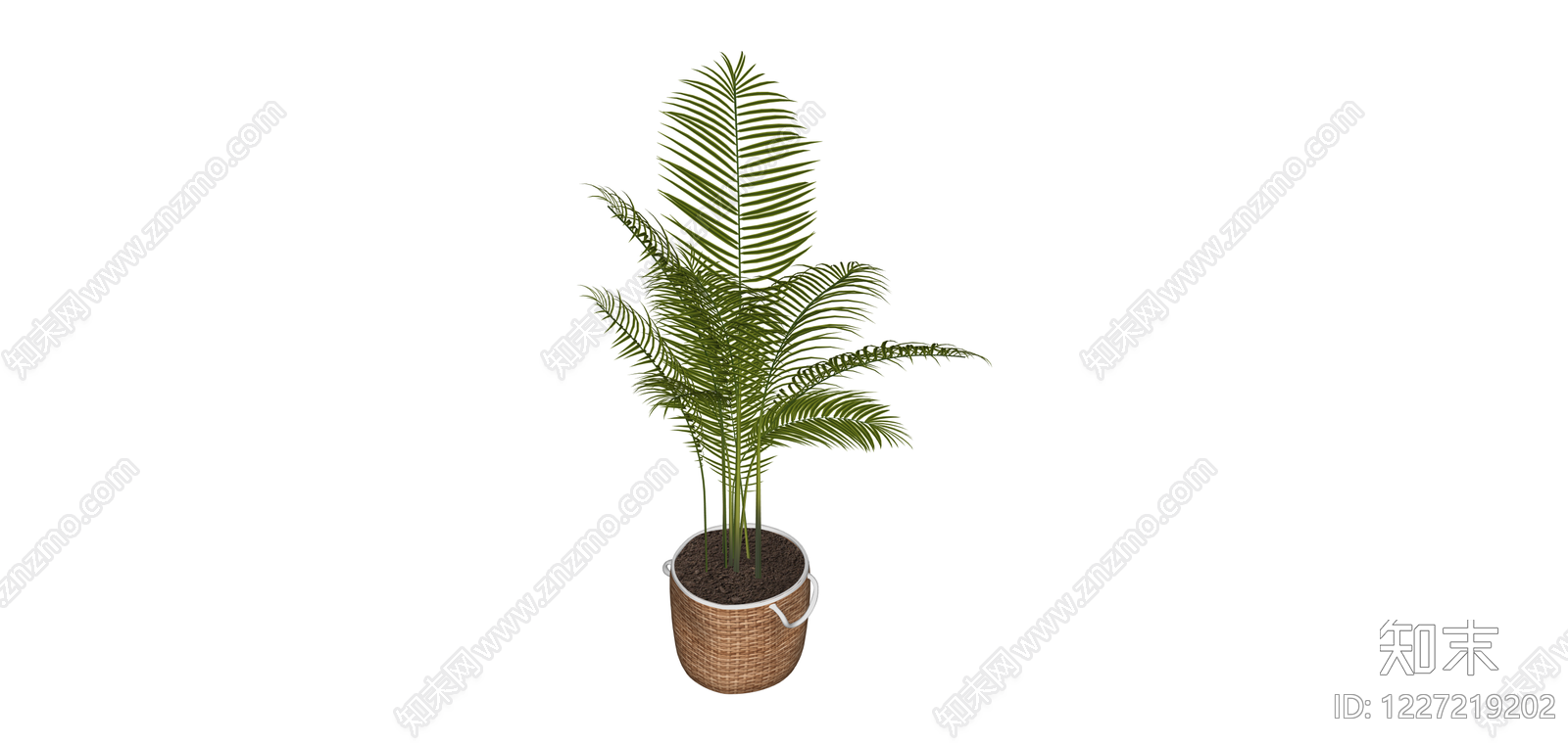 盆栽绿植（带编织花盆）SU模型下载【ID:1227219202】