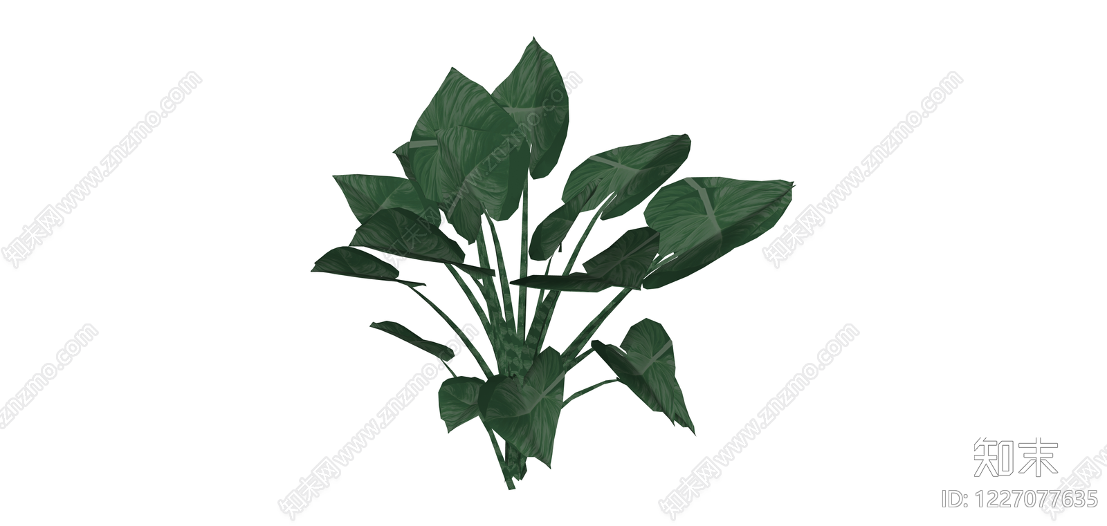 深绿阔叶盆栽植物SU模型下载【ID:1227077635】