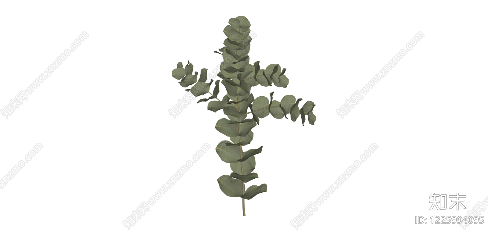 尤加利叶植物枝条SU模型下载【ID:1225994095】