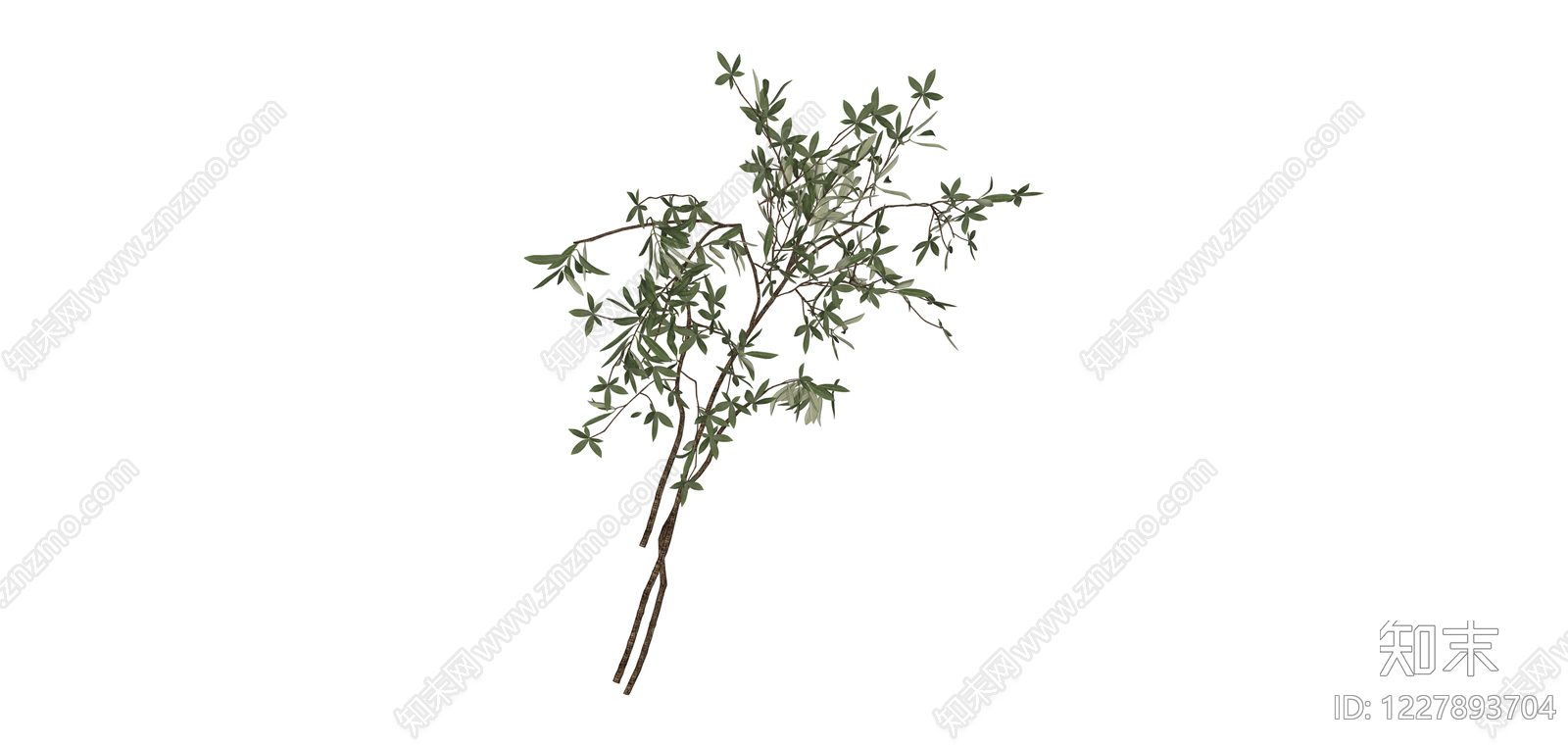 仿真橄榄枝植物素材SU模型下载【ID:1227893704】