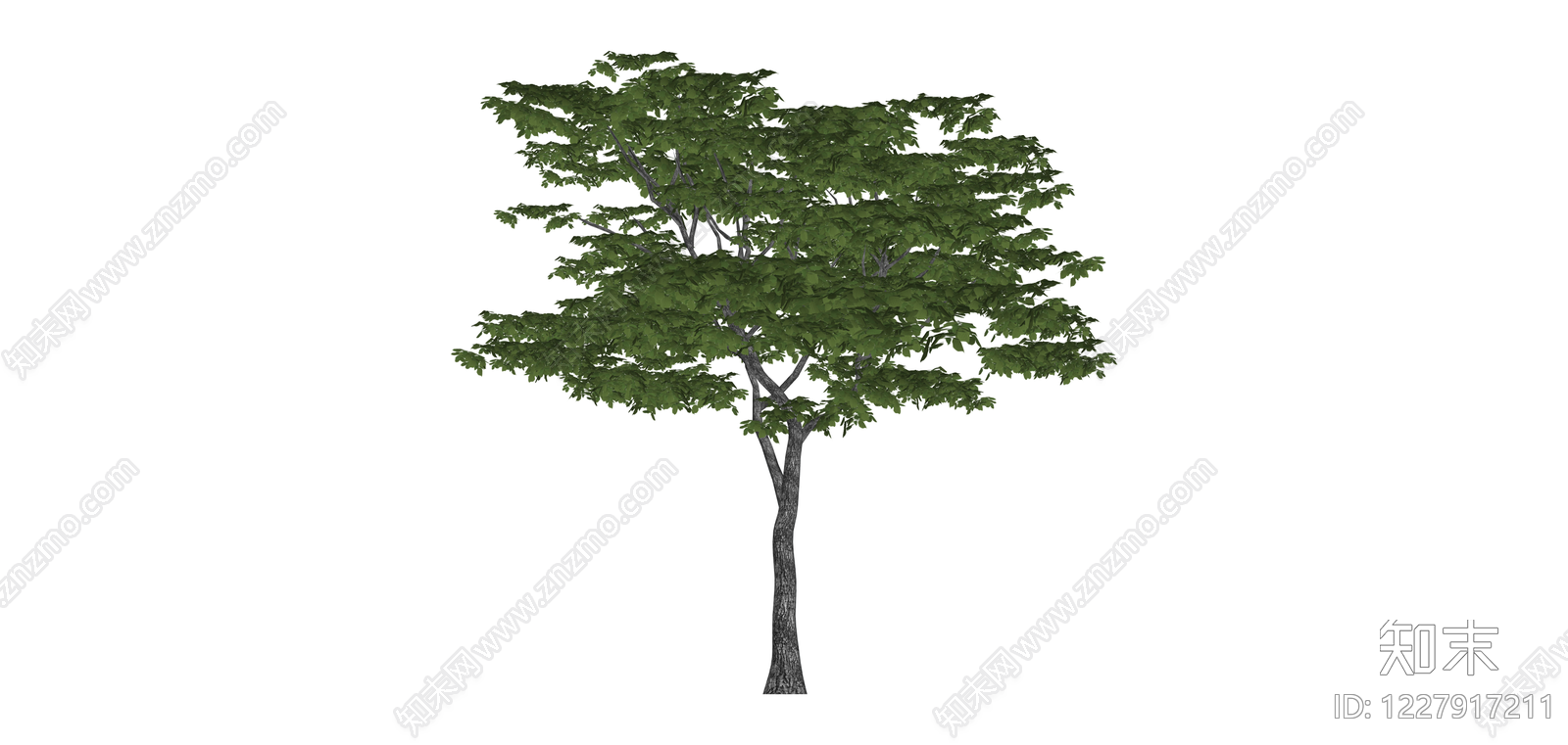 绿色阔叶景观树SU模型下载【ID:1227917211】