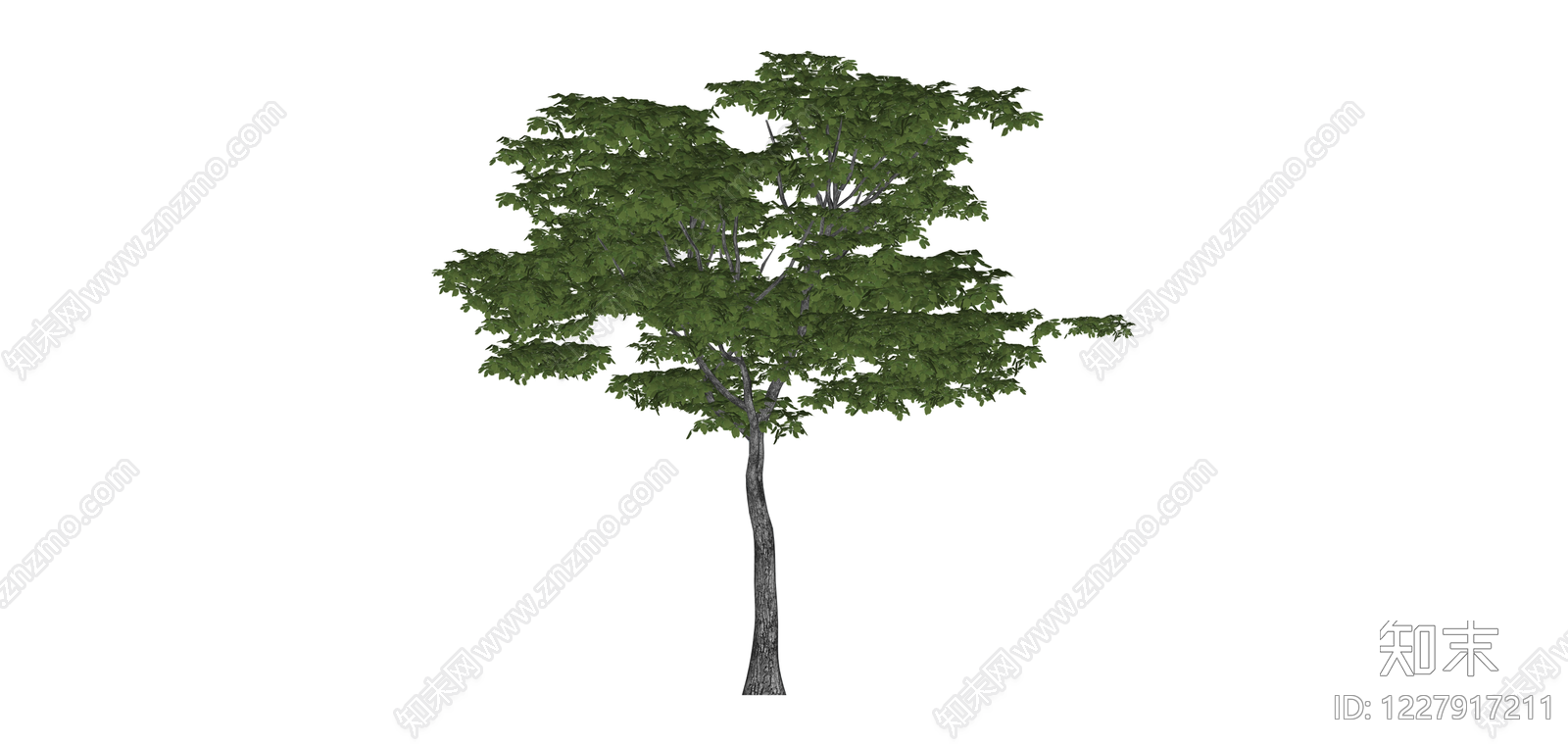 绿色阔叶景观树SU模型下载【ID:1227917211】