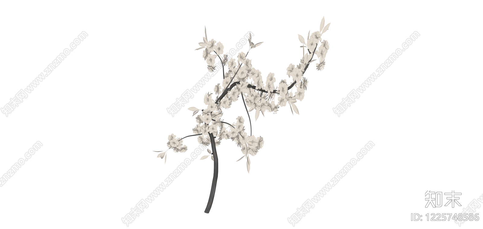 白色花艺装饰枝条SU模型下载【ID:1225748586】
