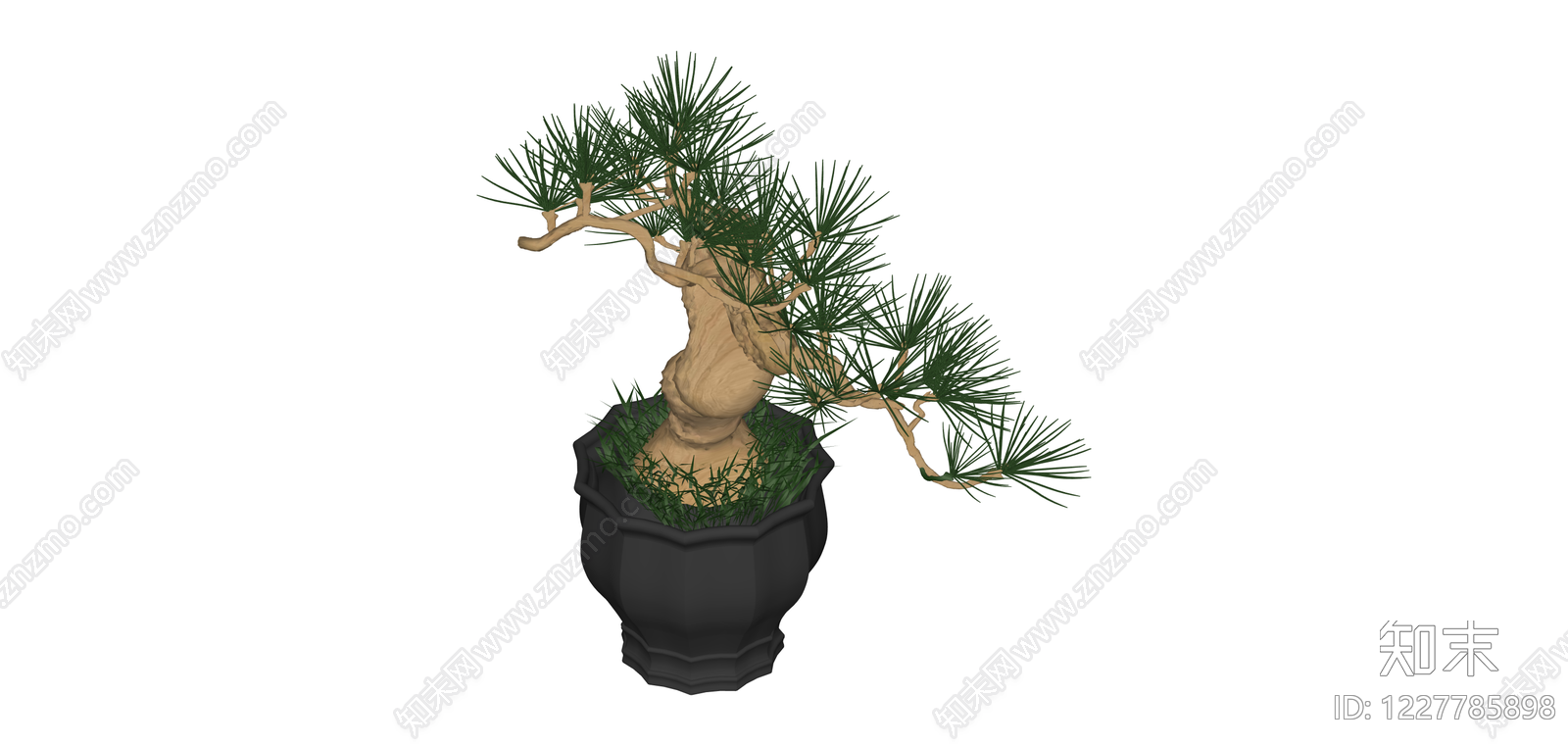 黑色盆松树盆景SU模型下载【ID:1227785898】