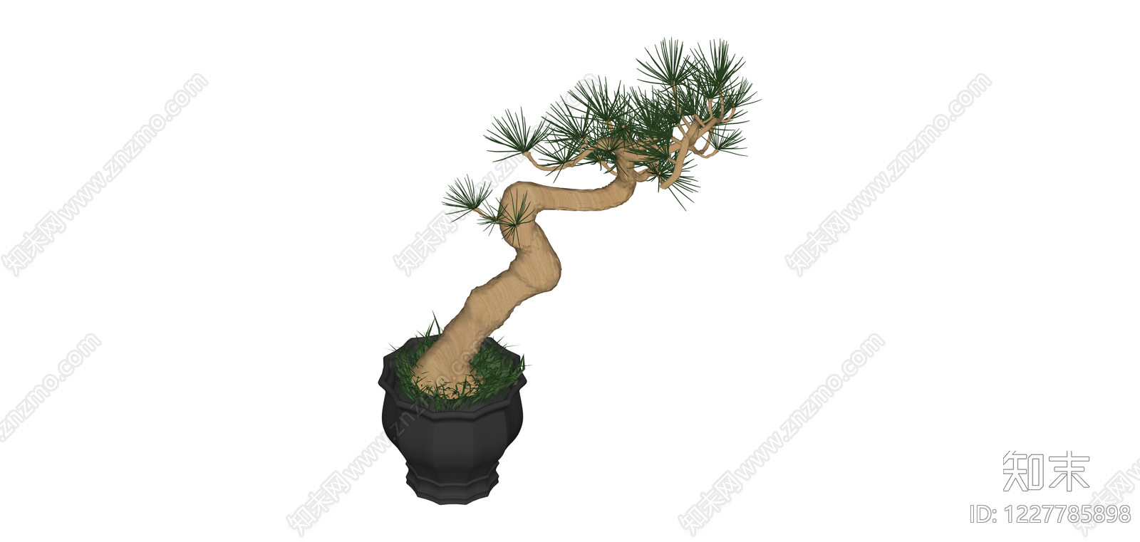 黑色盆松树盆景SU模型下载【ID:1227785898】