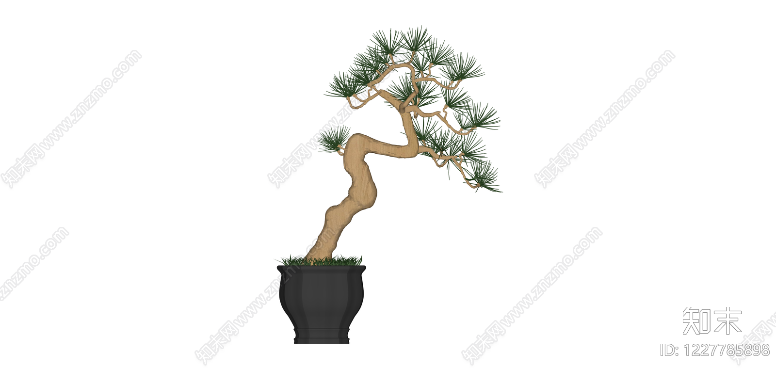 黑色盆松树盆景SU模型下载【ID:1227785898】