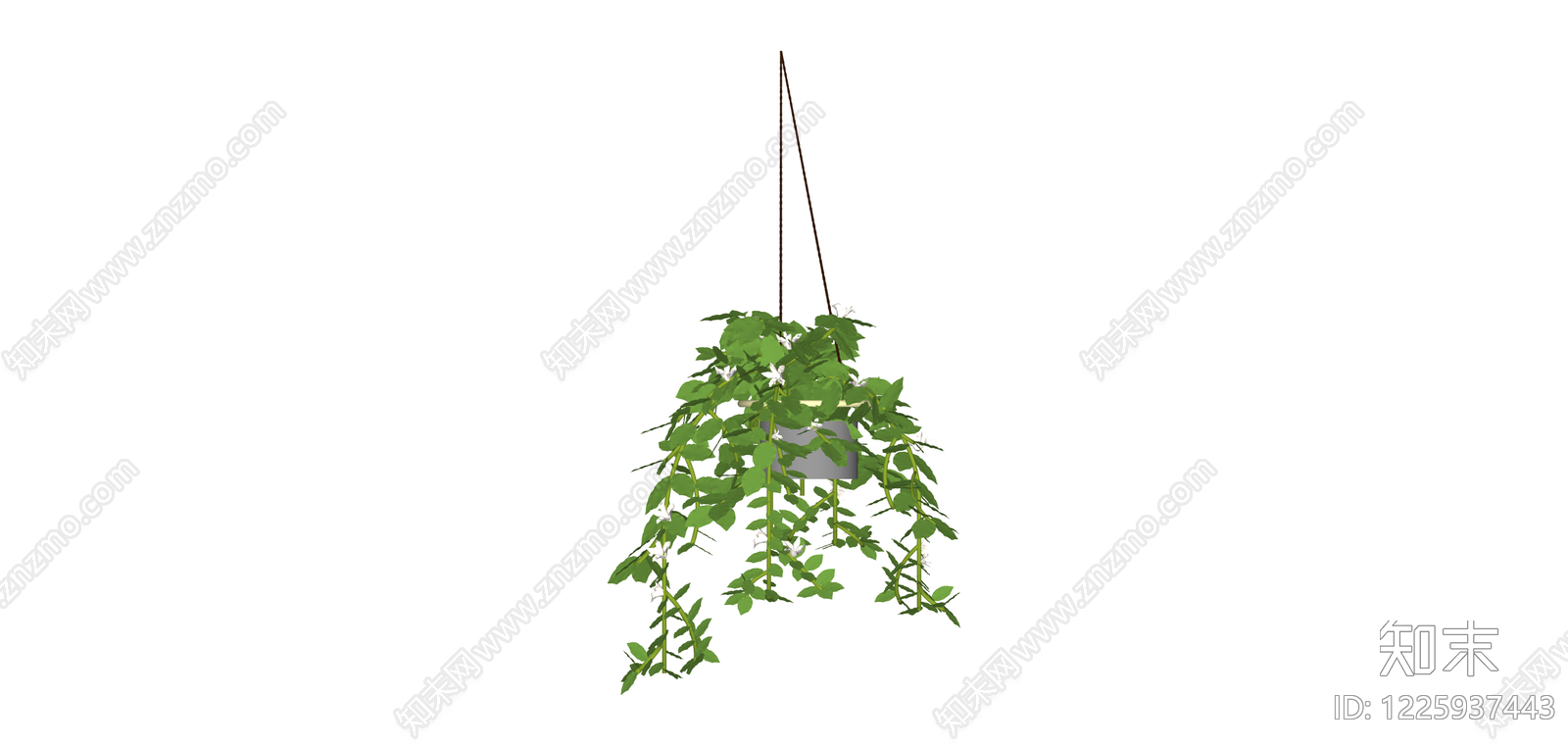 悬挂式绿植盆栽SU模型下载【ID:1225937443】