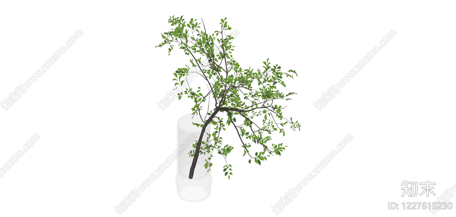 带透明圆柱花瓶的绿植SU模型下载【ID:1227615230】