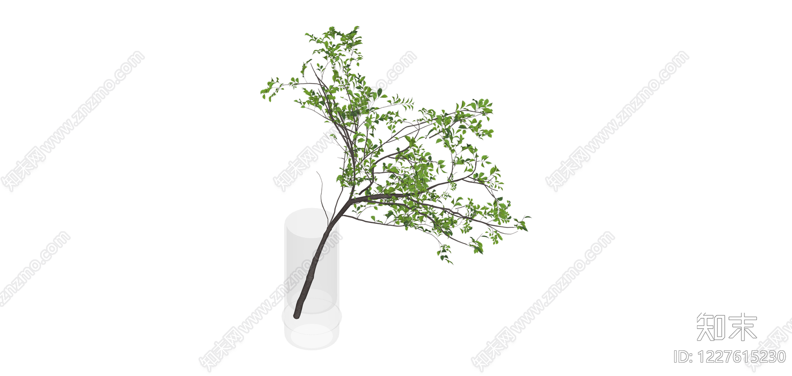 带透明圆柱花瓶的绿植SU模型下载【ID:1227615230】