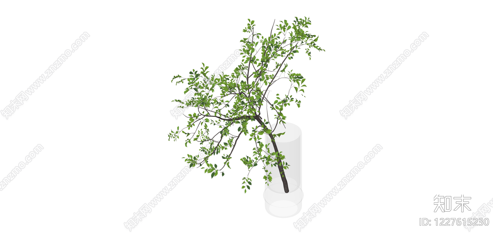 带透明圆柱花瓶的绿植SU模型下载【ID:1227615230】