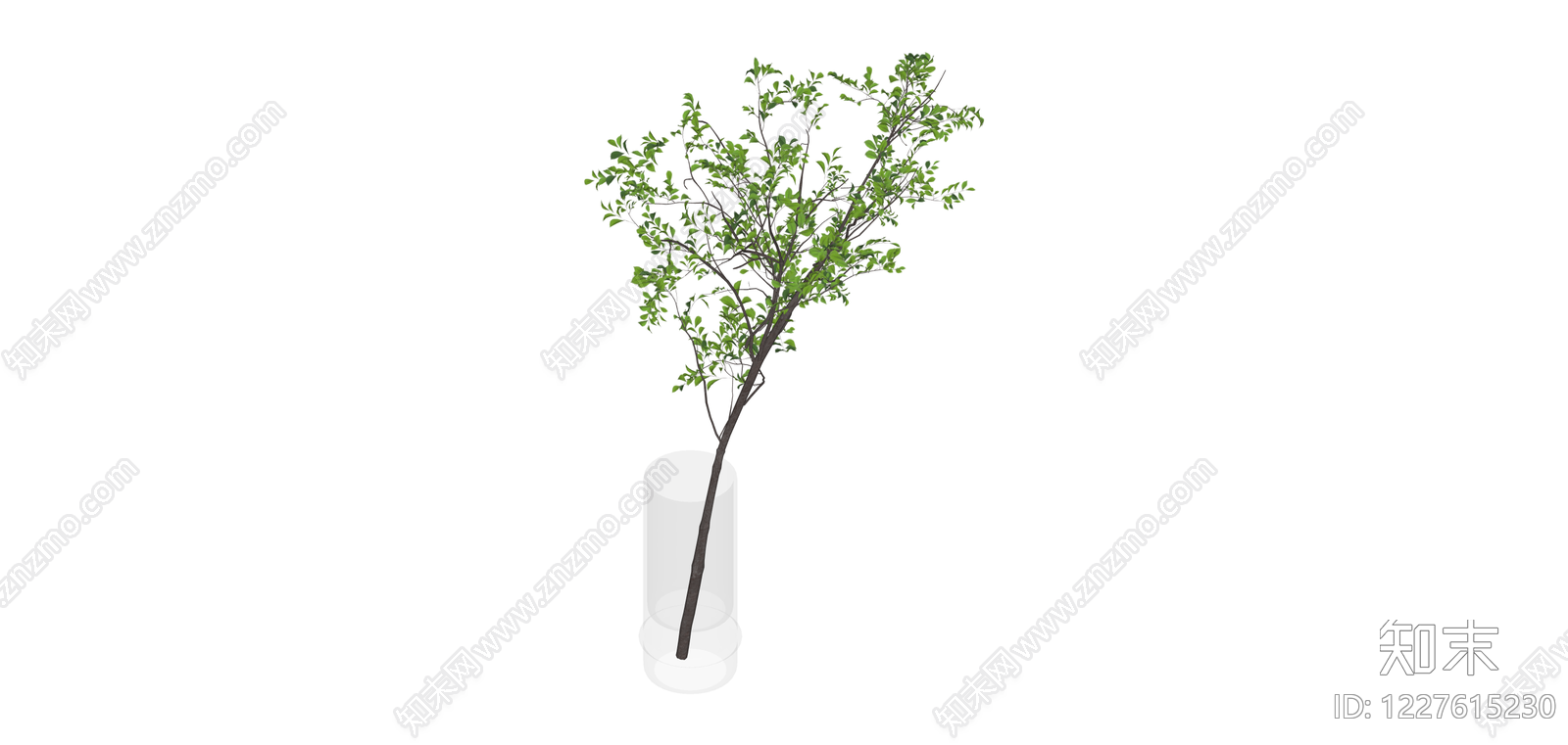 带透明圆柱花瓶的绿植SU模型下载【ID:1227615230】